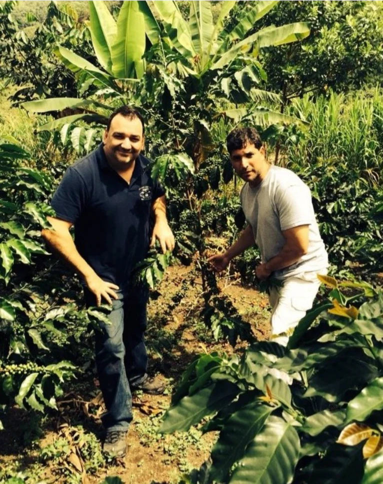 our founders standing among coffee plants at our coffee farm